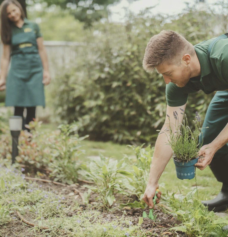 Mężczyzna sadzący roślinę