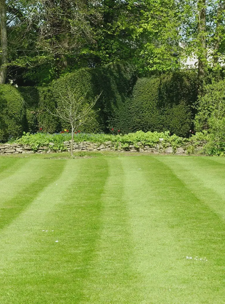 Ogród z przyciętą trawą