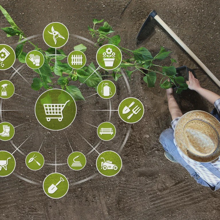 Kobieta sadząca roślinę