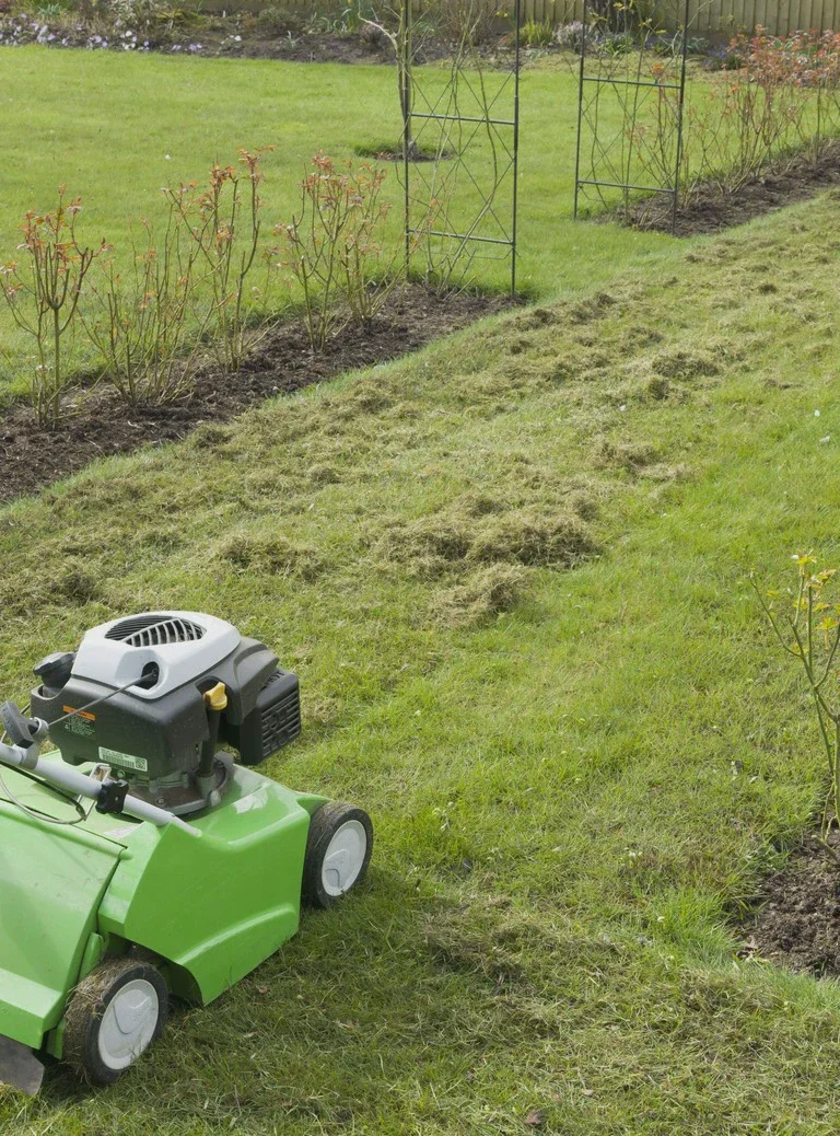 Koszenie trawy w ogrodzie